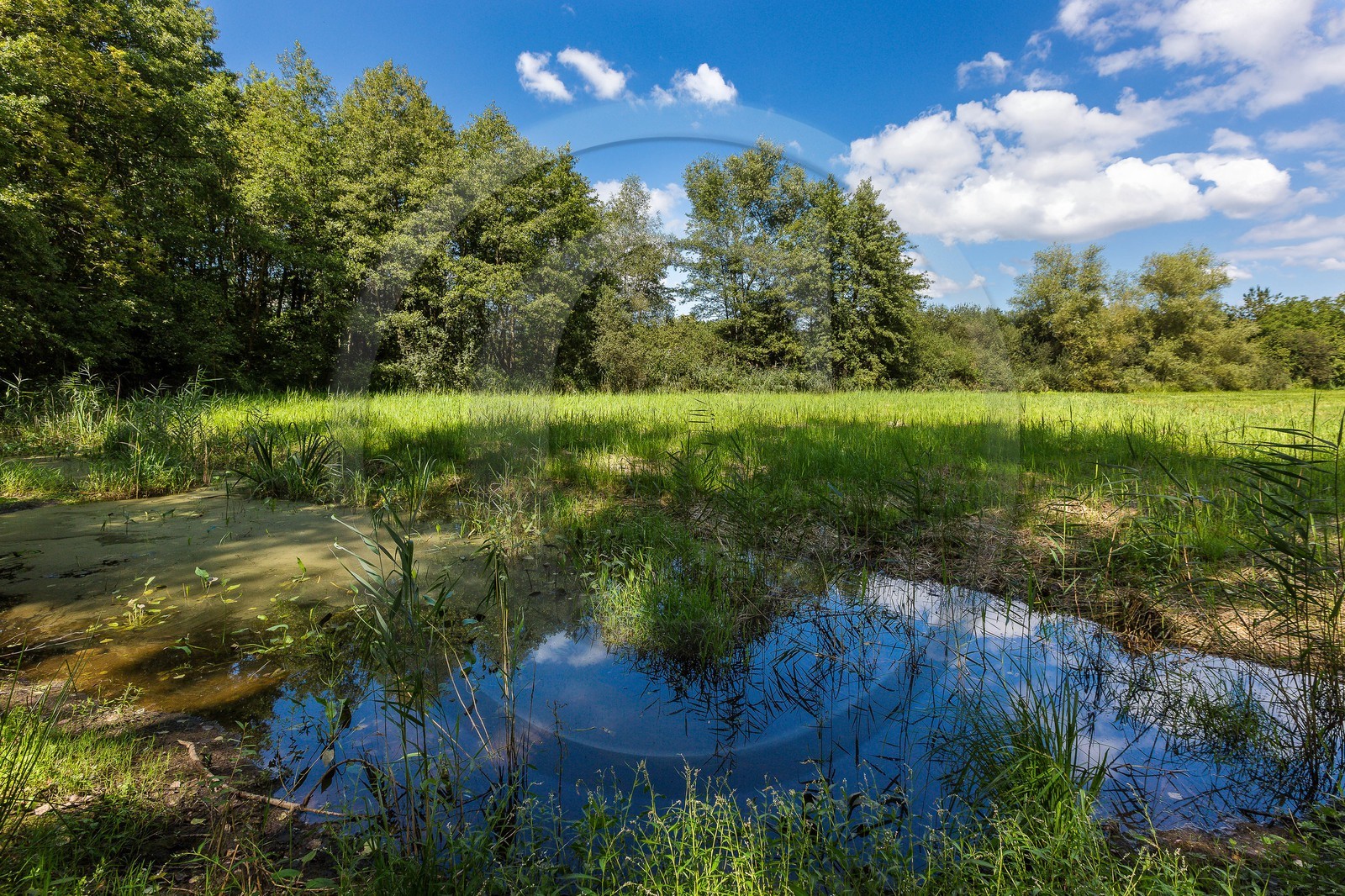 ENS de l'Isère, Boucle des Moïles