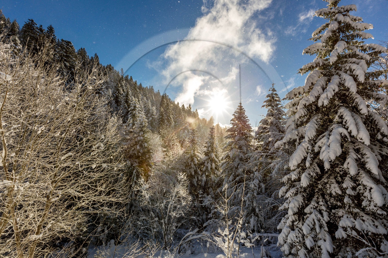 Espace naturel sensible de l'Isère, Col du Coq