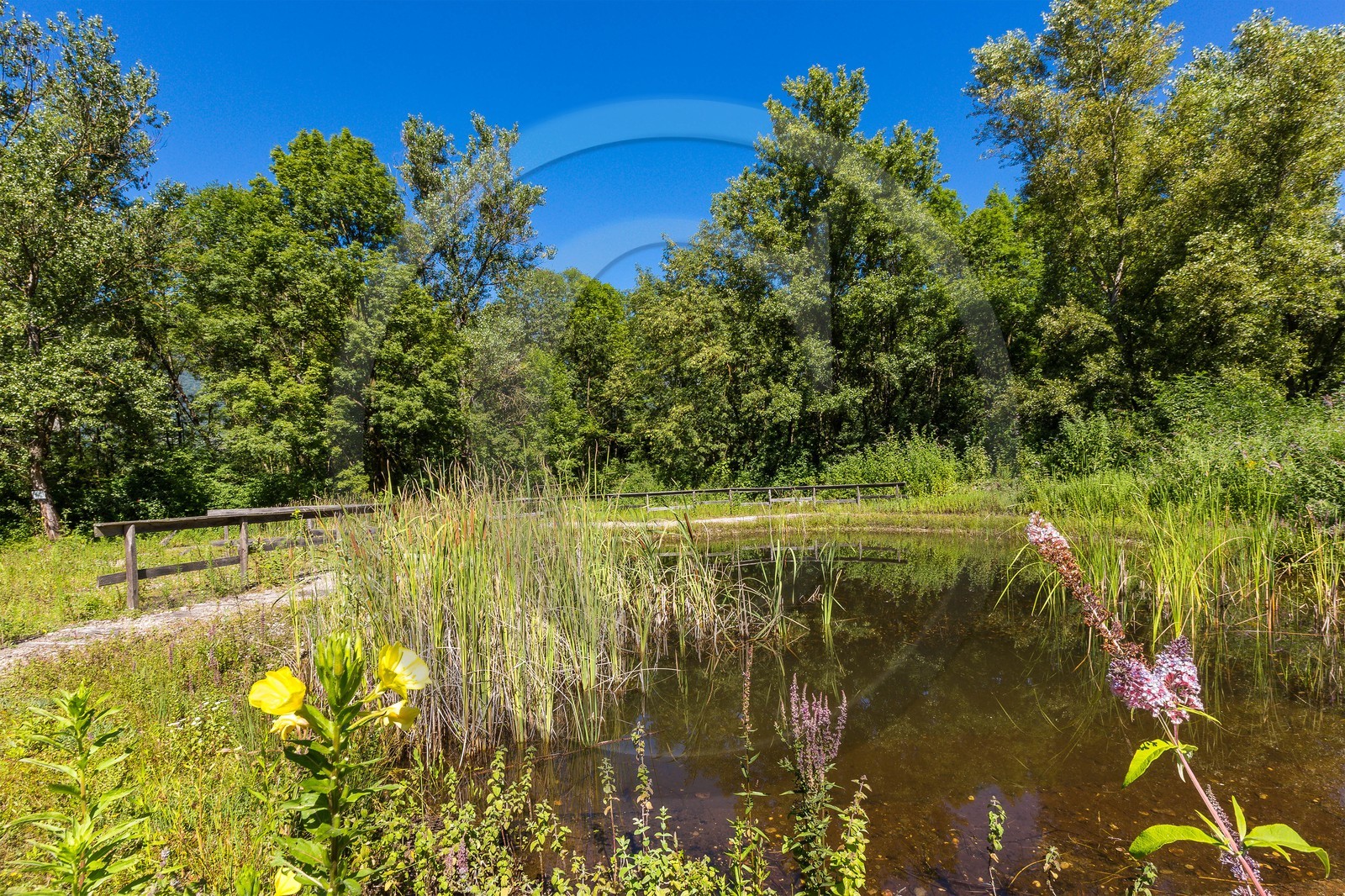 ENS de l'Isère, espace alluvial de la Rolande