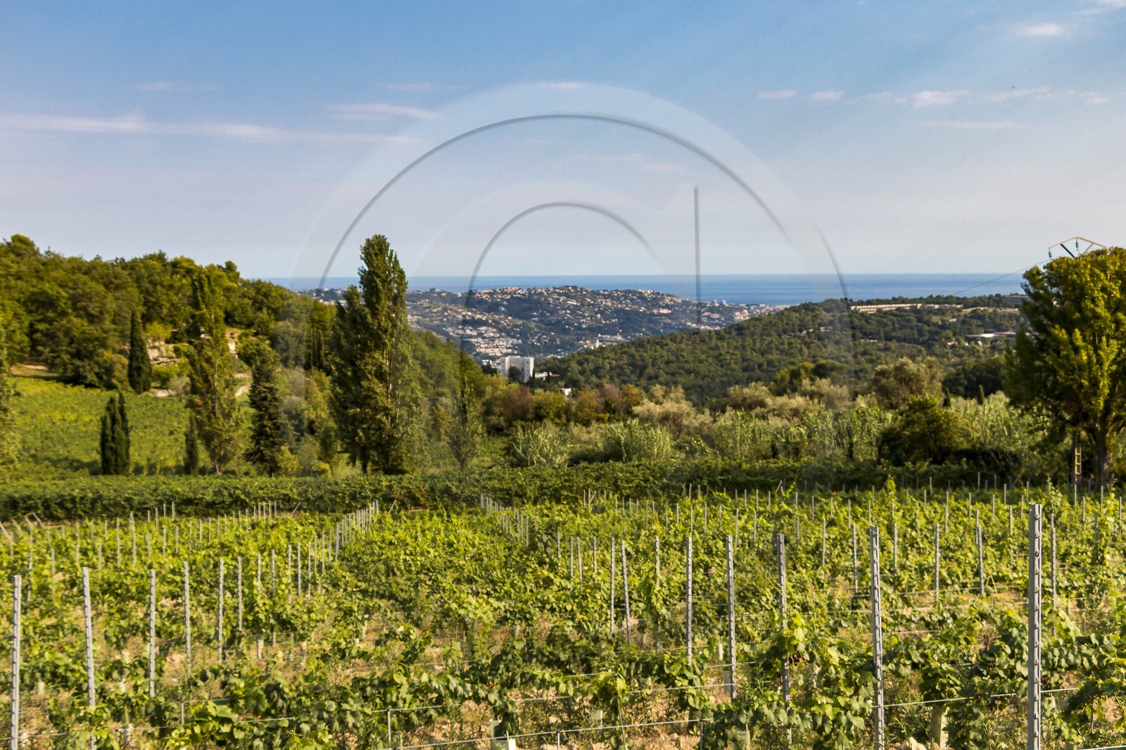 Vignoble de Saint-Jeannet, propriétaire récoltant Denis Rasse