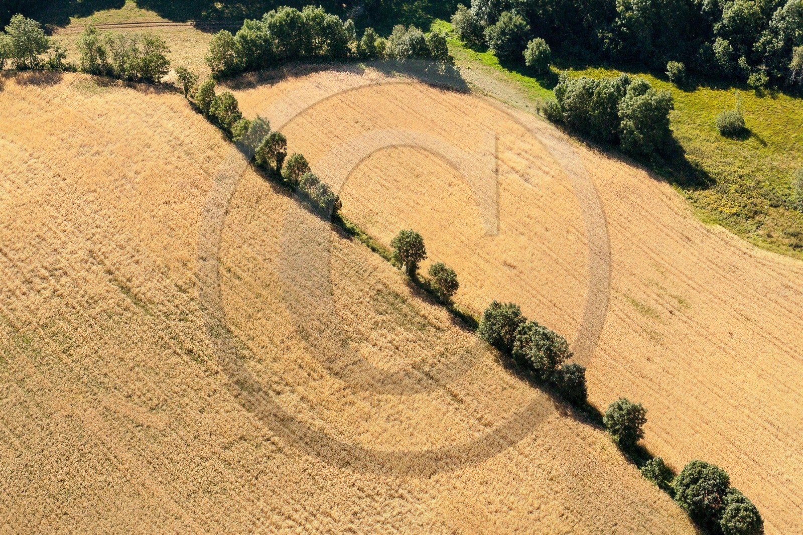 Vallée du Champsaur, le bocage