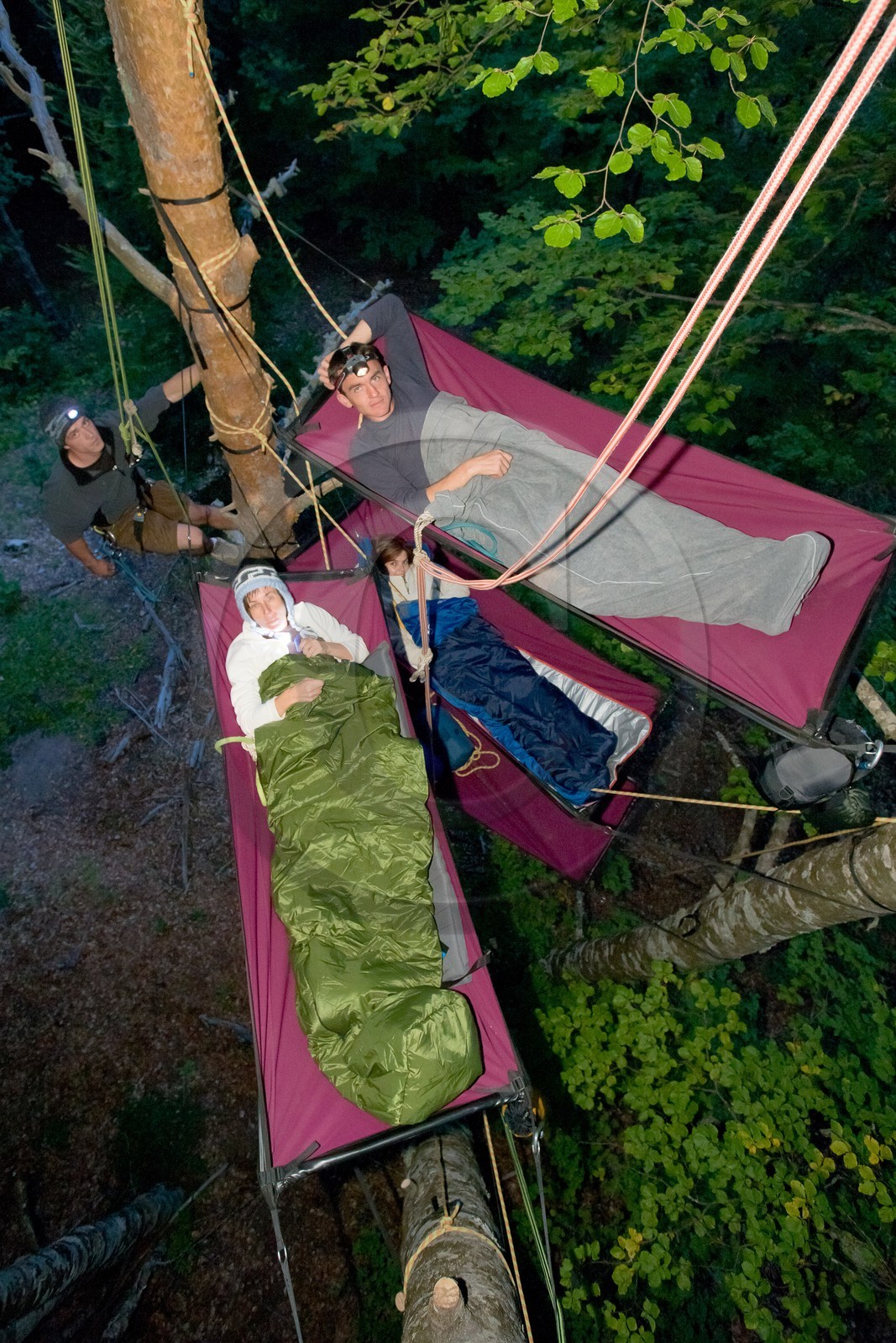 Bivouac dans les arbres