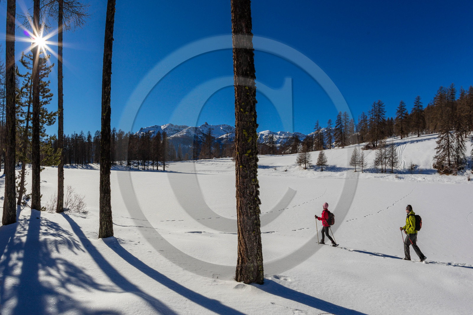 Randonnée en raquettes à neige
