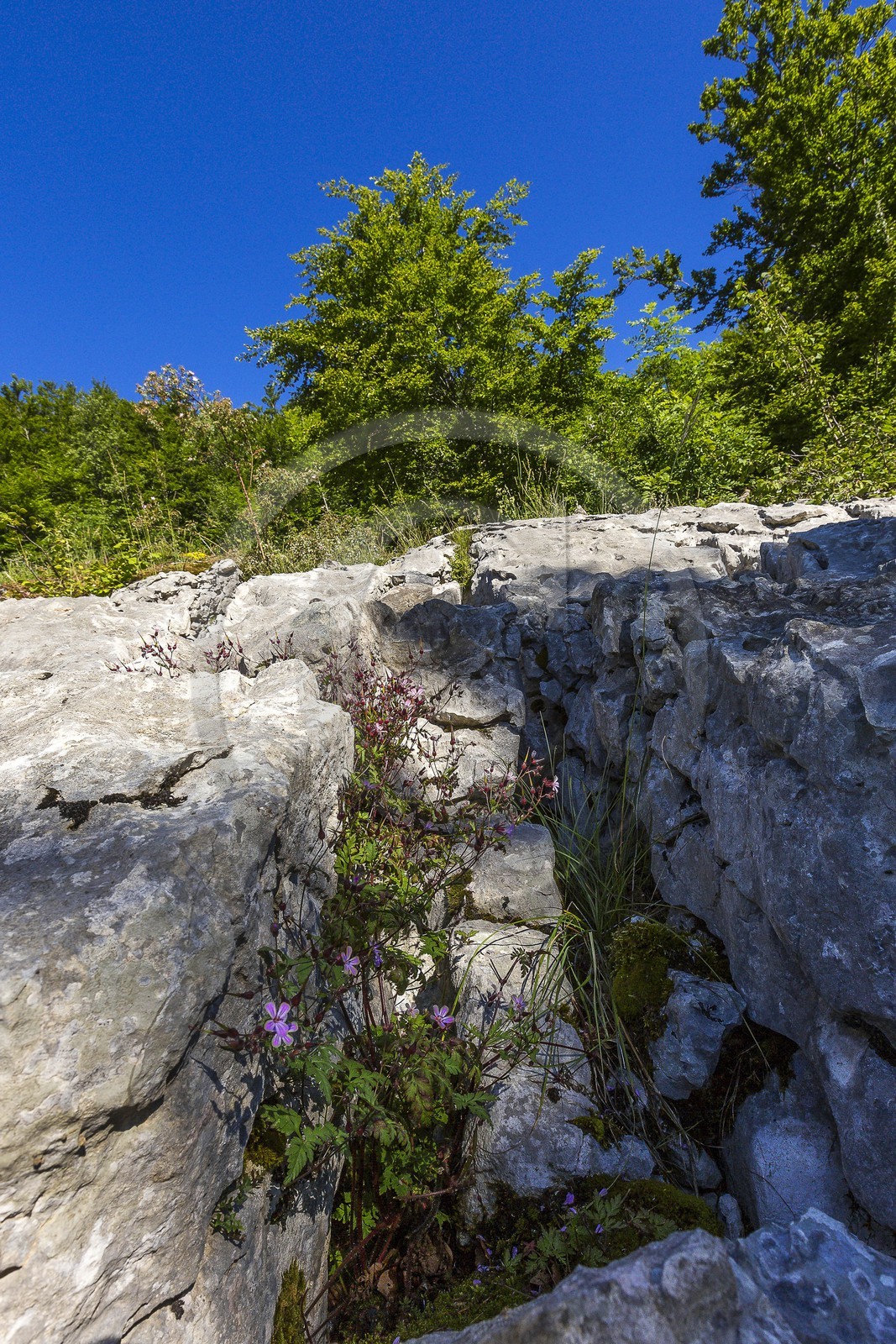 ENS de l'Isère, vallée fossile des Rimets