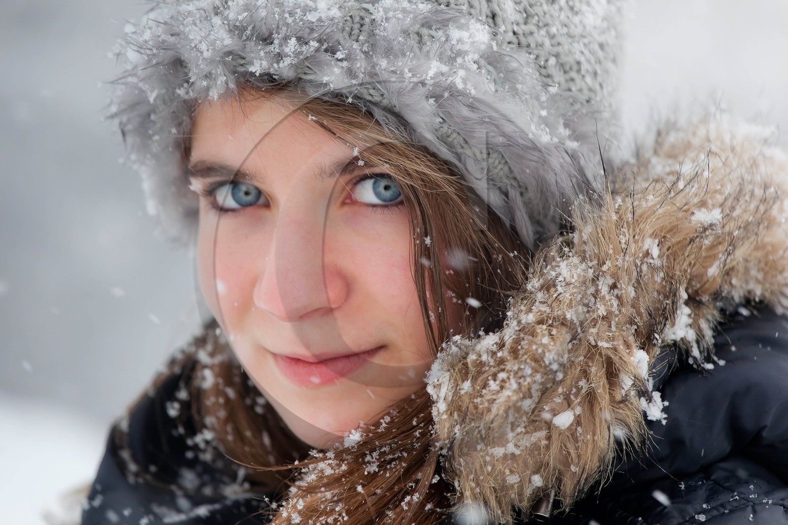 Hiver, randonnée balade sous la neige