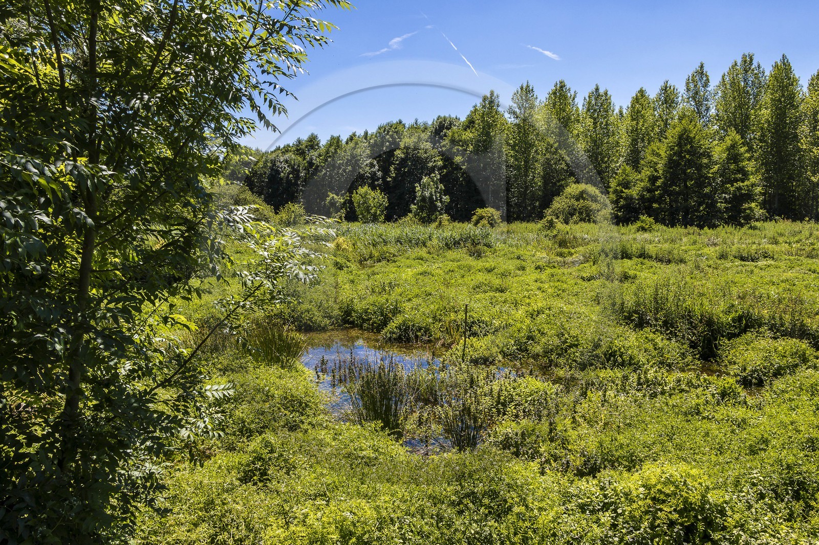 ENS de l'Isère, Les Fontaines de Beaufort