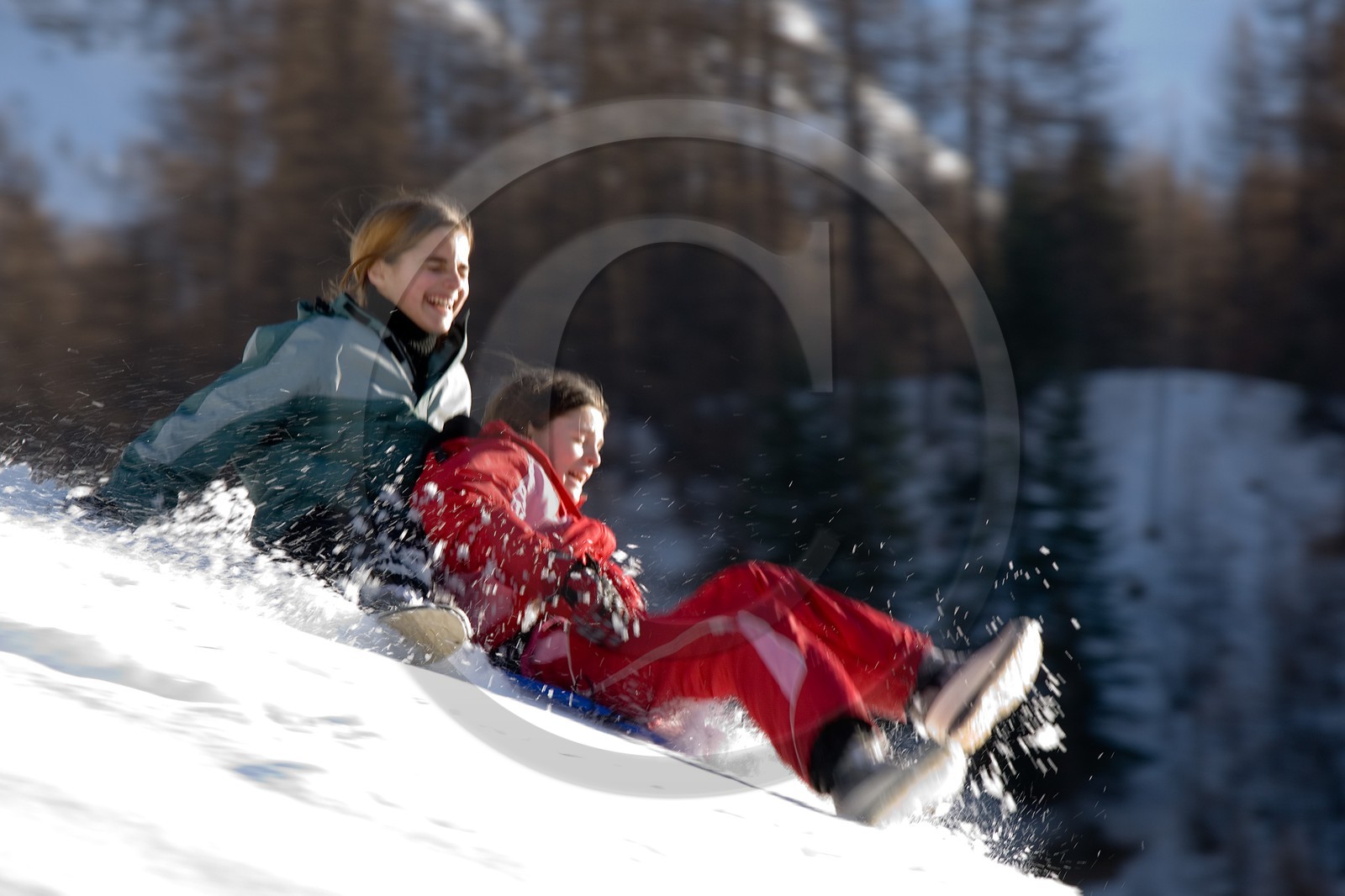 Luge d'hiver