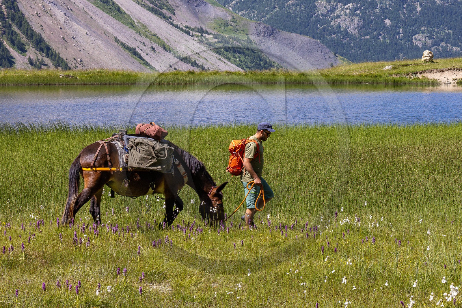 Trek famille avec animaux de bats