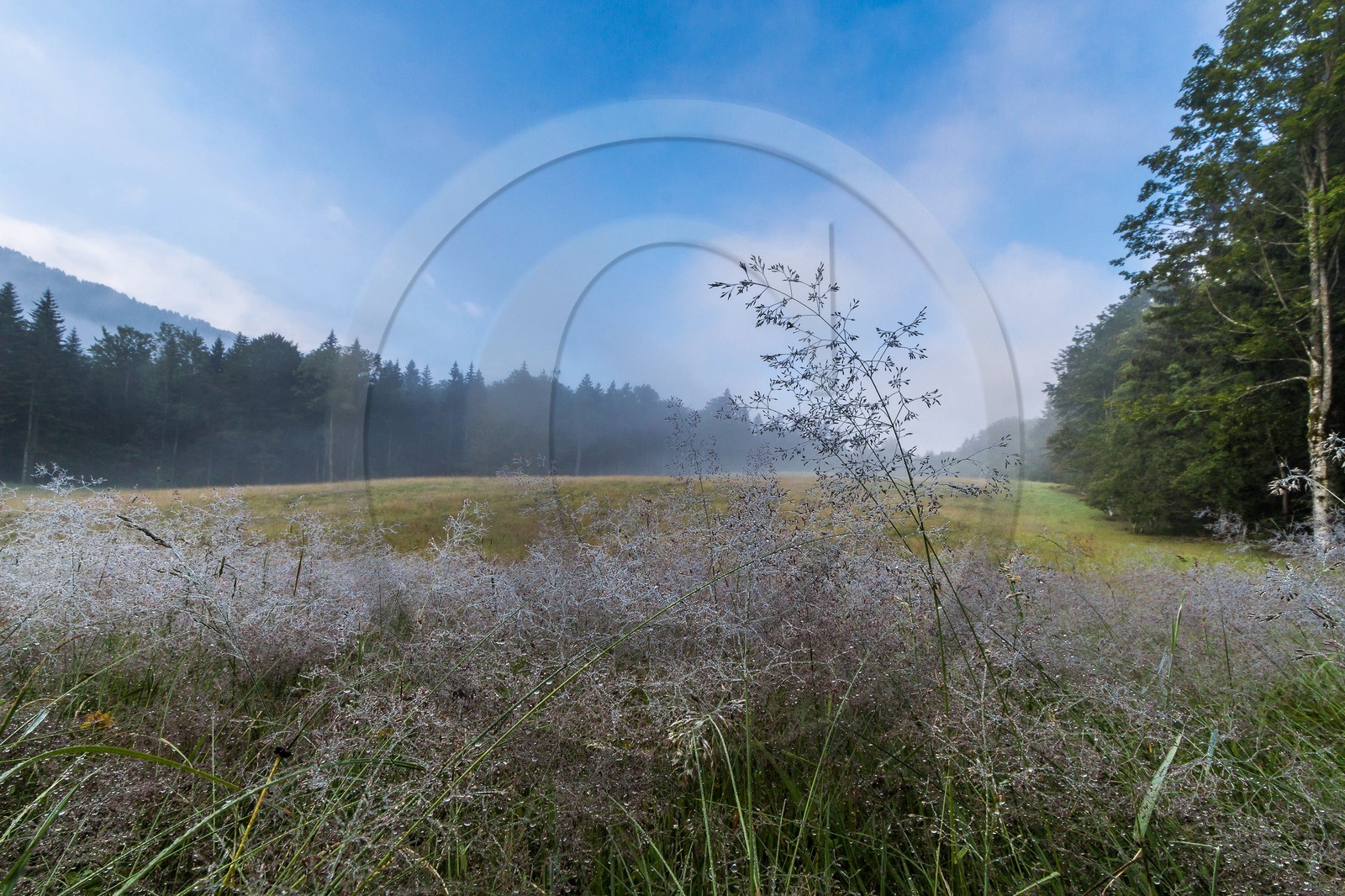 ENS de l'Isère, Les Ecouges