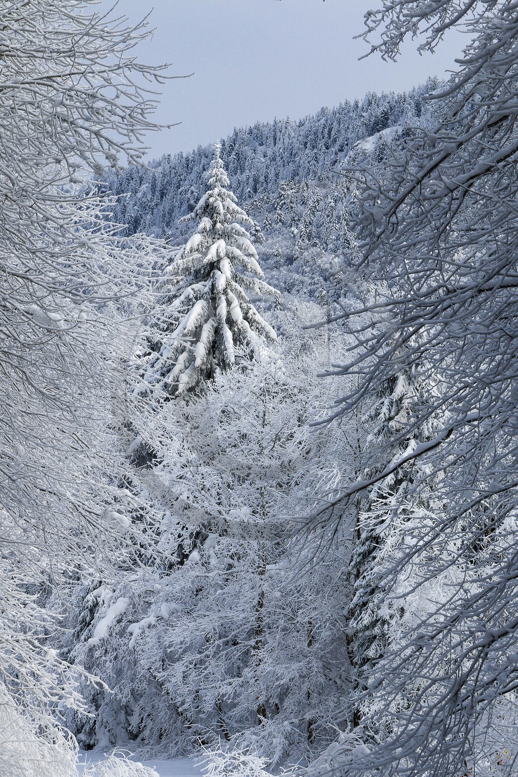 ENS de l'Isère, Les Ecouges