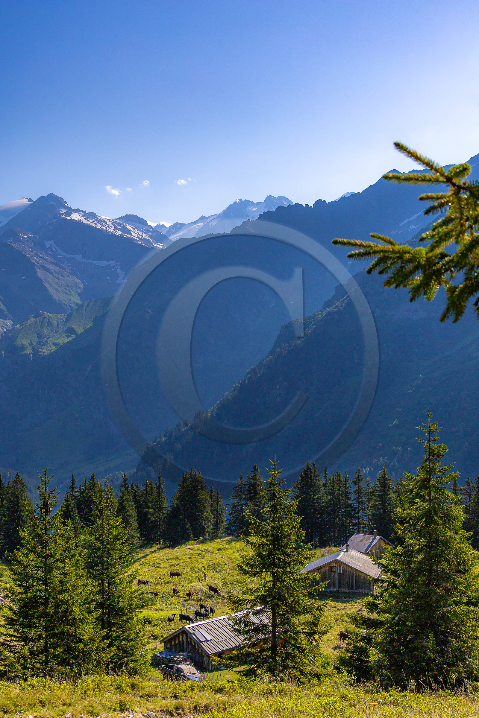 Réserve Naturelle des Contamines-Montjoie