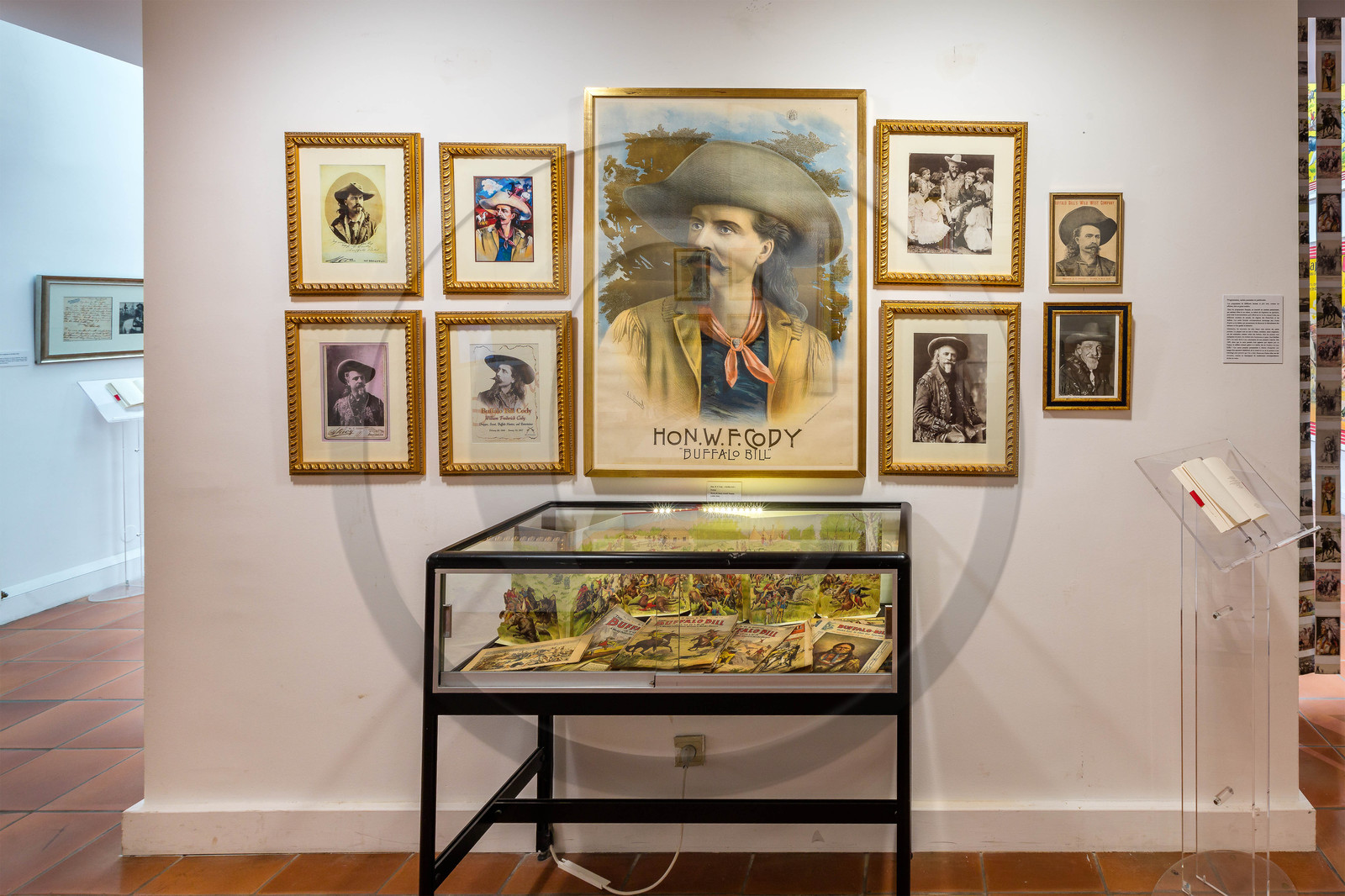 Gap, Musée Muséum départemental des Hautes-Alpes