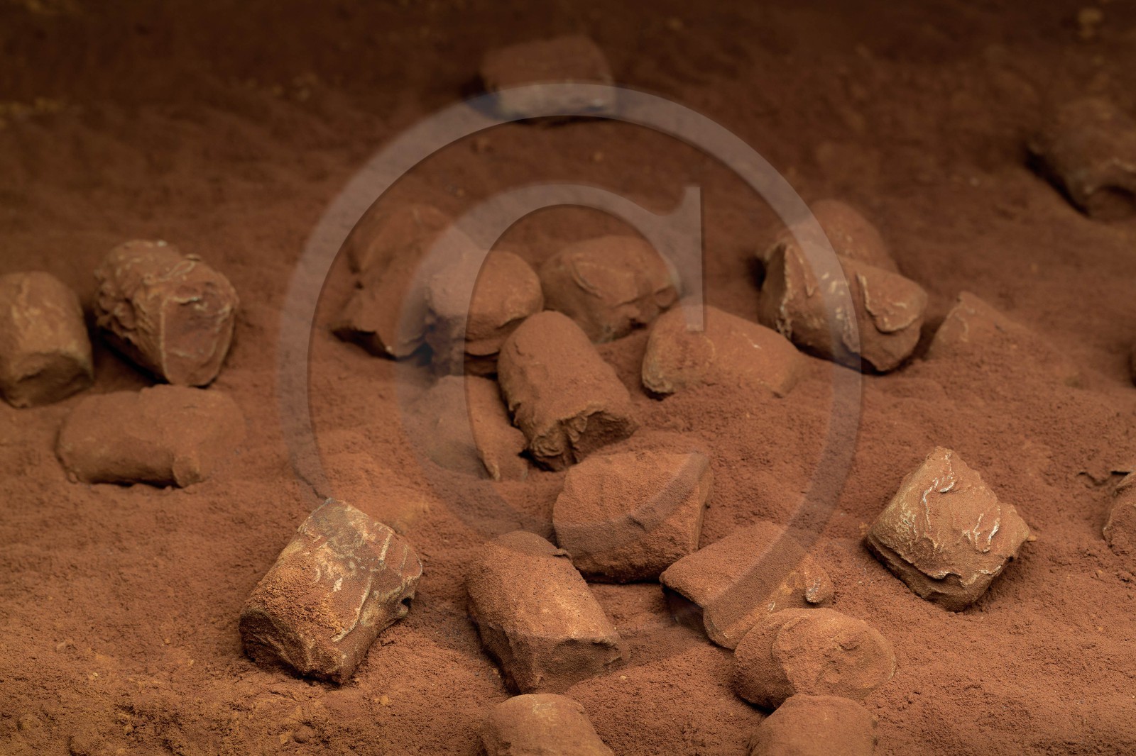 Luc Eyriey, Maître chocolatier à Embrun, truffes au chocolat