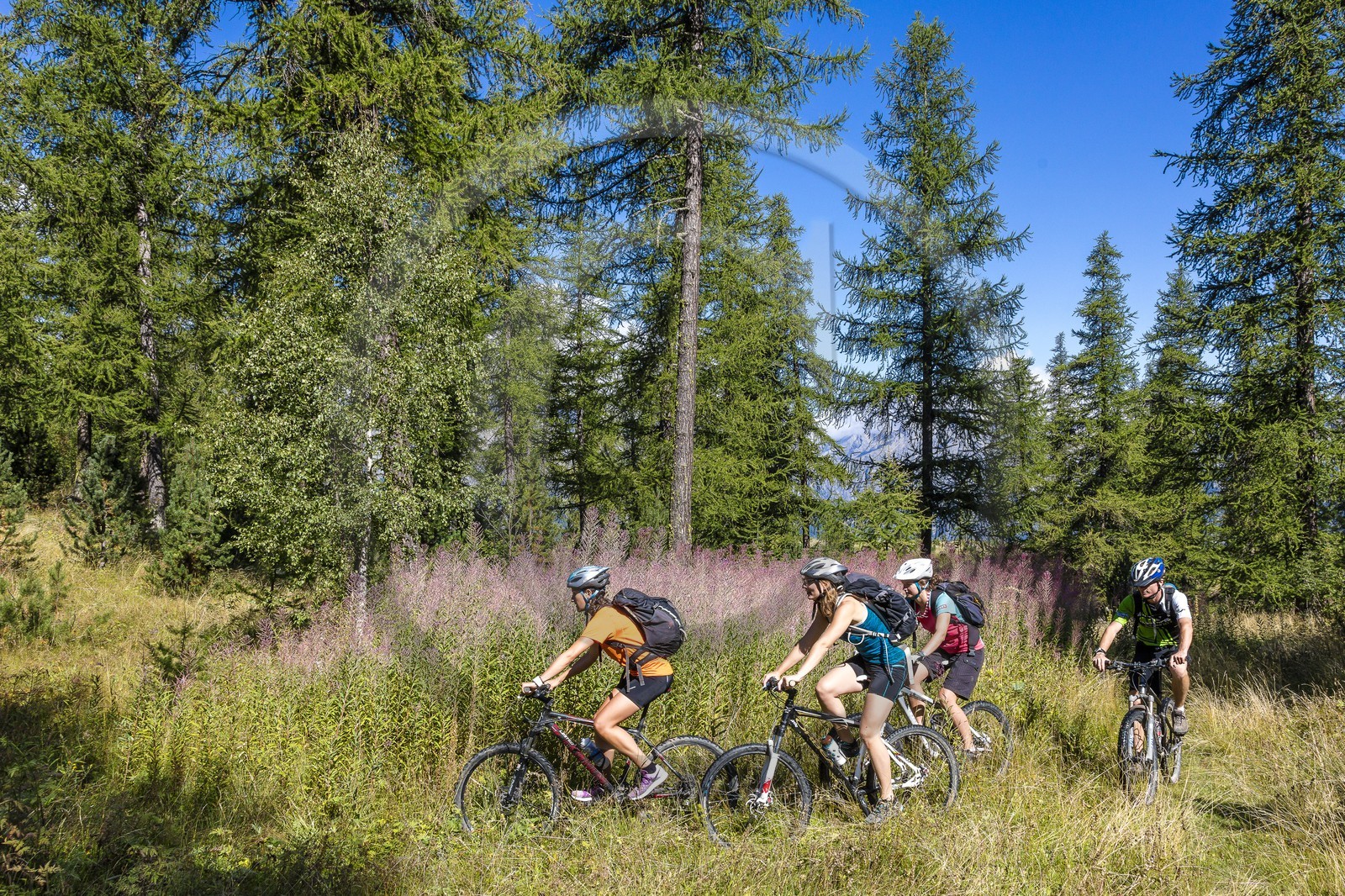VTT Grand tour des Ecrins