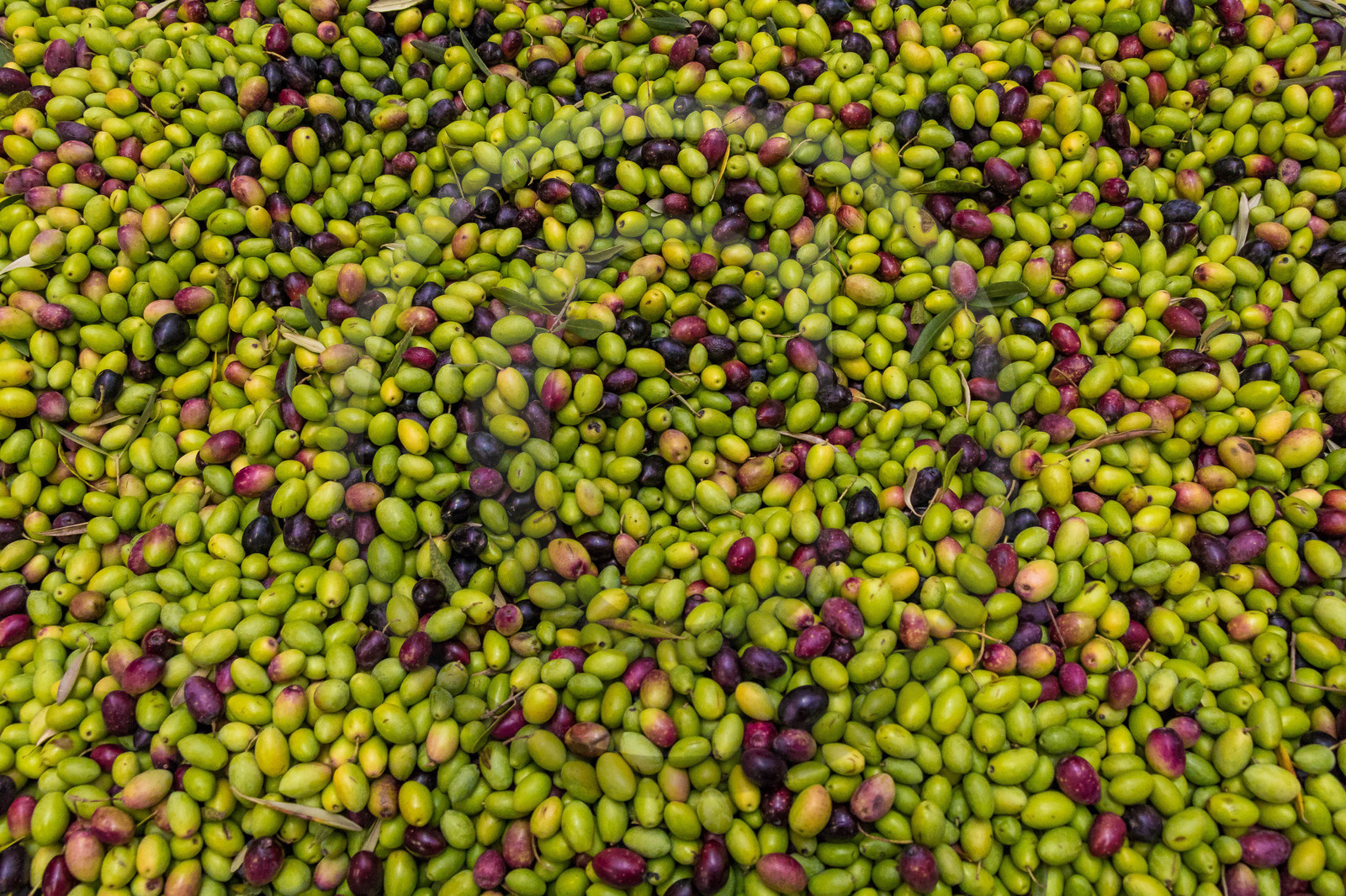 Moulin Jean-Marie Cornille