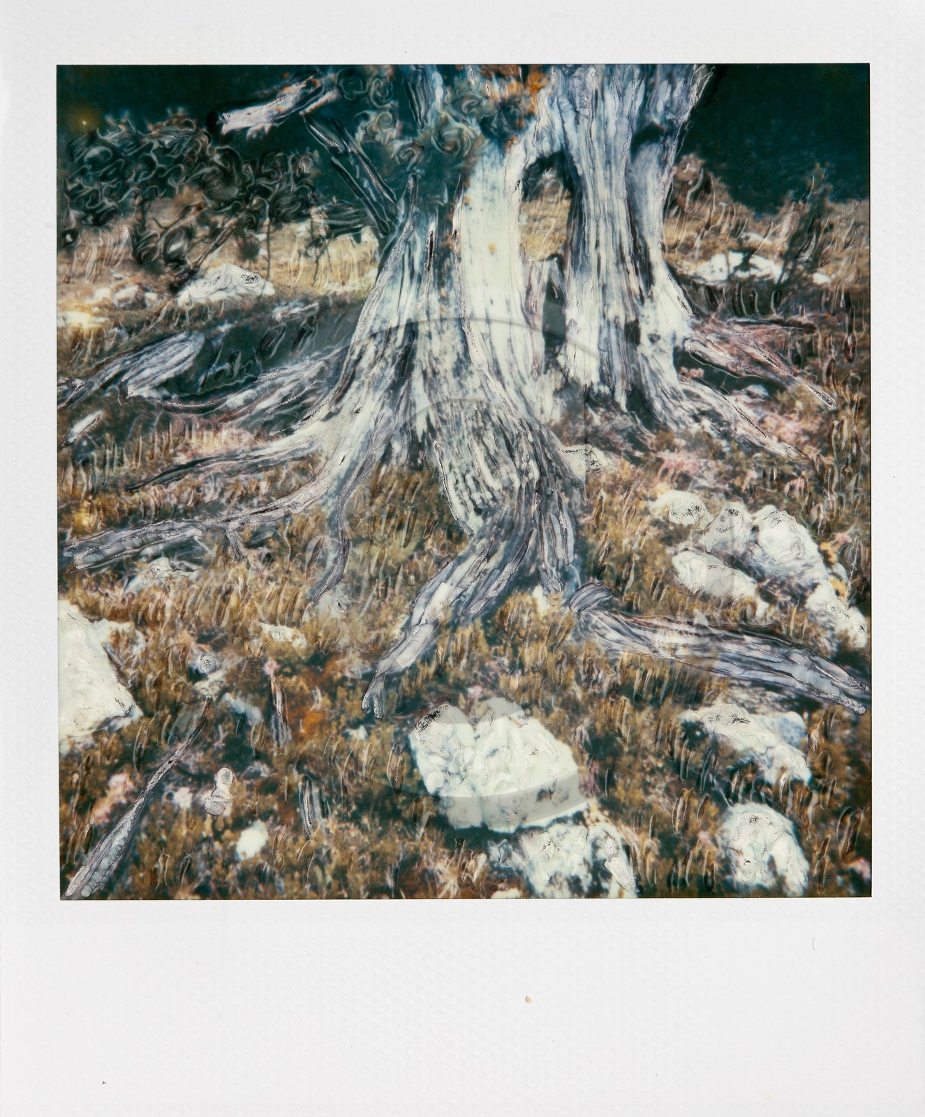 Exposition Arbres et petites forêts, éloge de la biodiversité