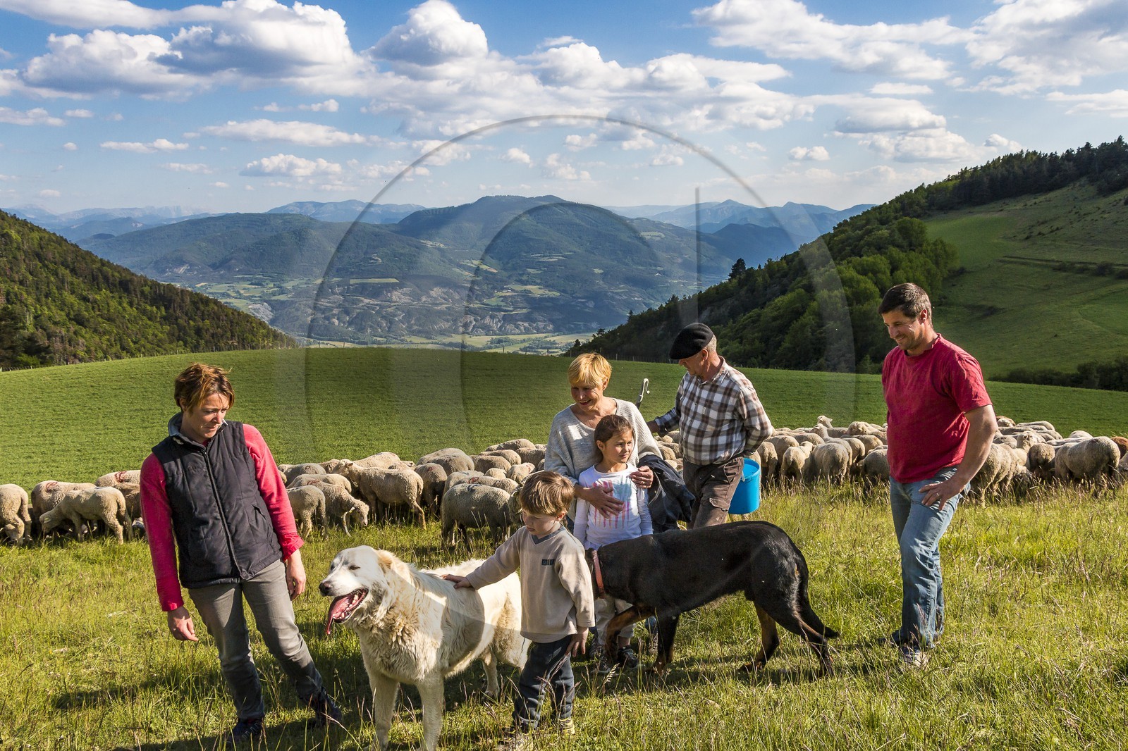 Ferme des Sonnailles, famille Pellissier