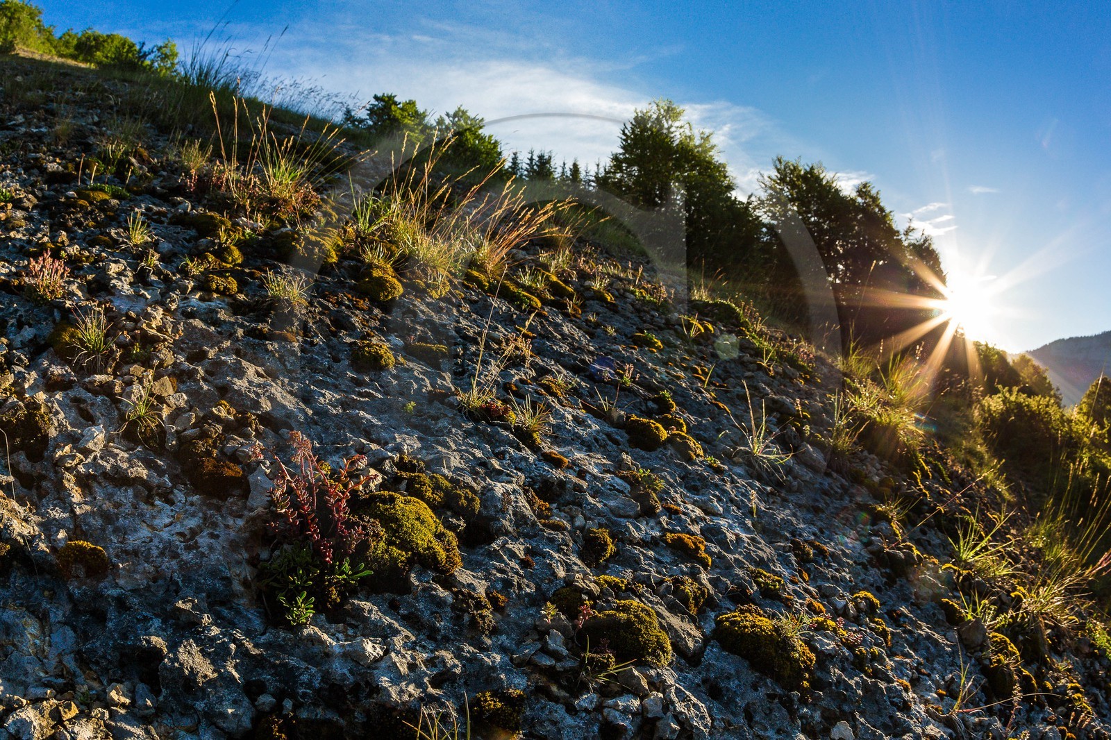 ENS de l'Isère, vallée fossile des Rimets
