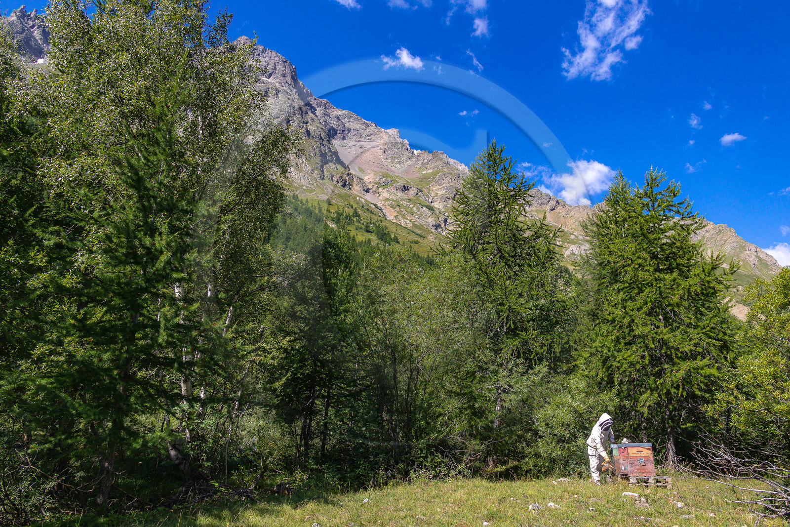 La miellerie du Lauzet
