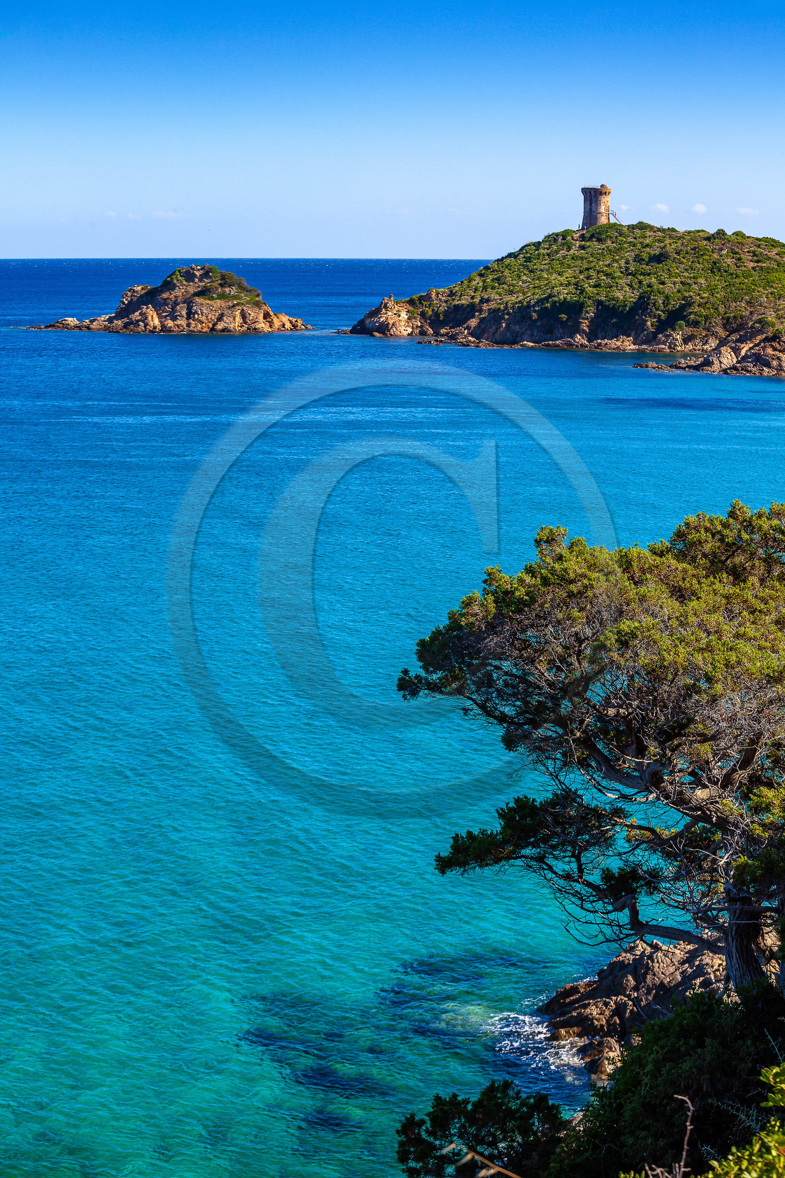 Tour Génoise de Fautea