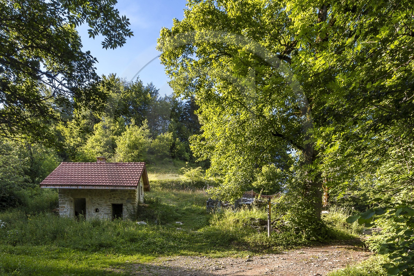 ENS de l'Isère, vallée fossile des Rimets
