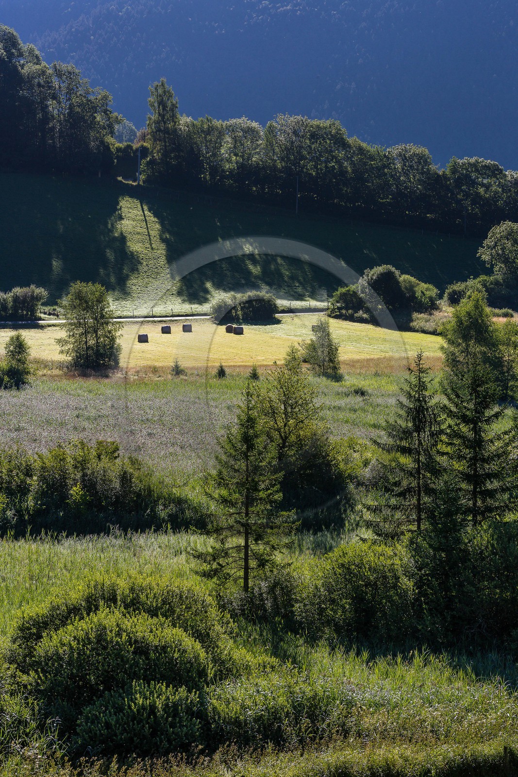 ENS de l'Isère, Marais des Sagnes