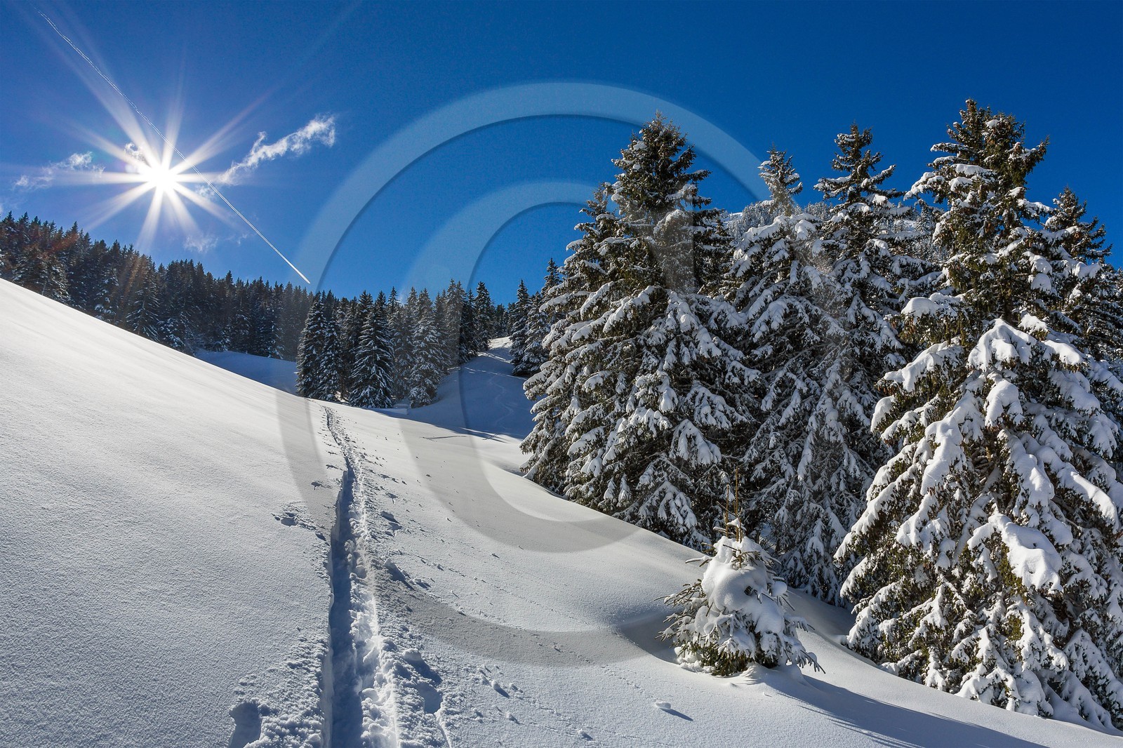 Espace naturel sensible de l'Isère, Col du Coq