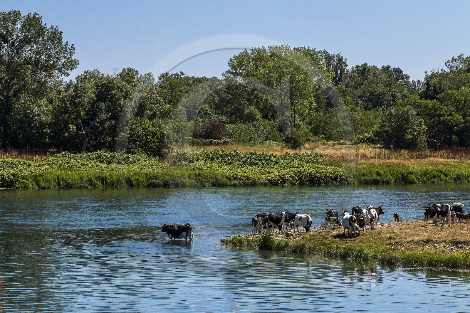 ENS de l'Isère, , le méandre des Oves