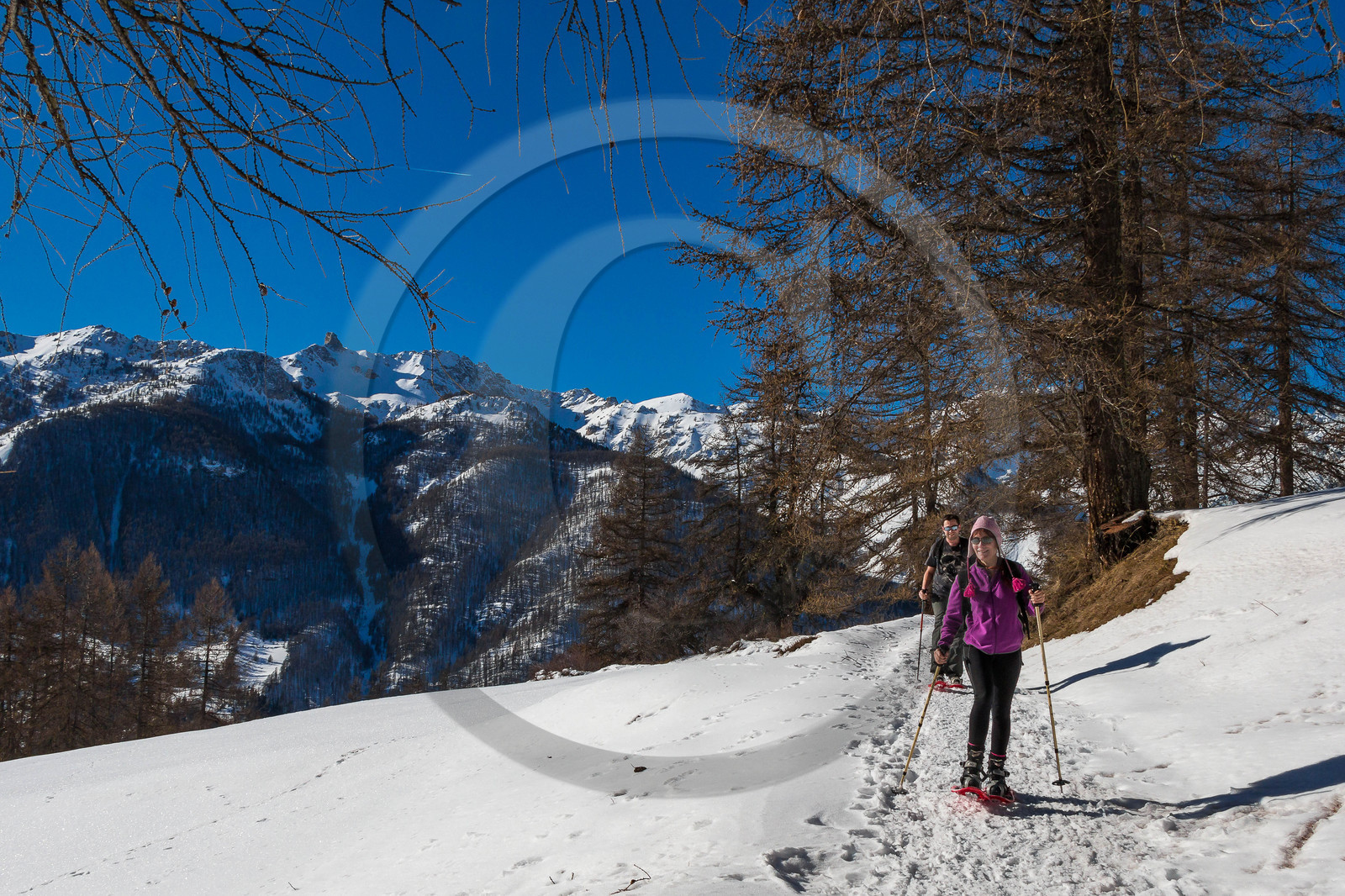 Randonnée en raquettes à neige