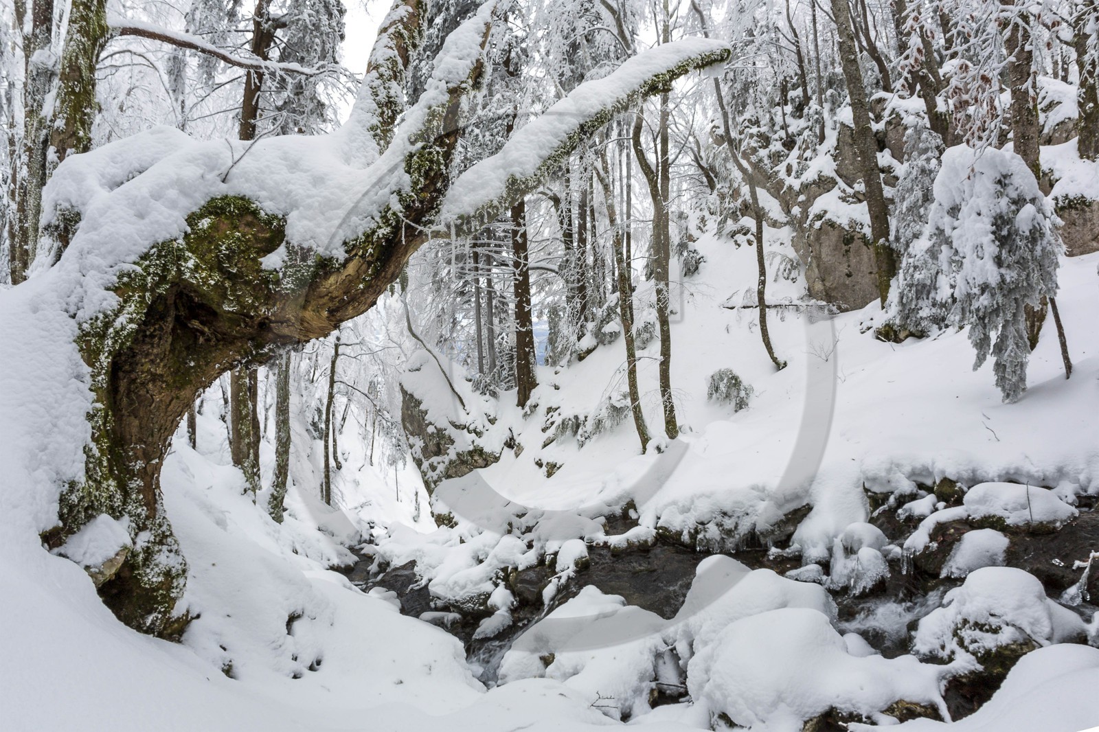 ENS de l'Isère, Les Ecouges