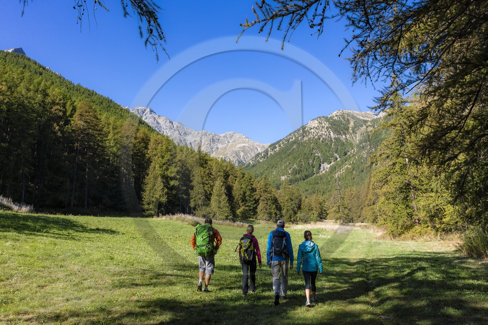 Céline Jumentier, accompagnatrice en moyenne montagne