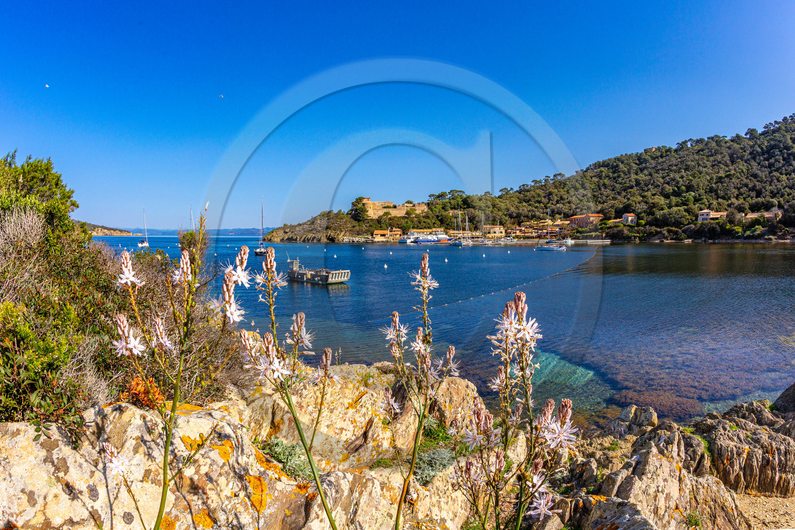 Parc national de Port-Cros