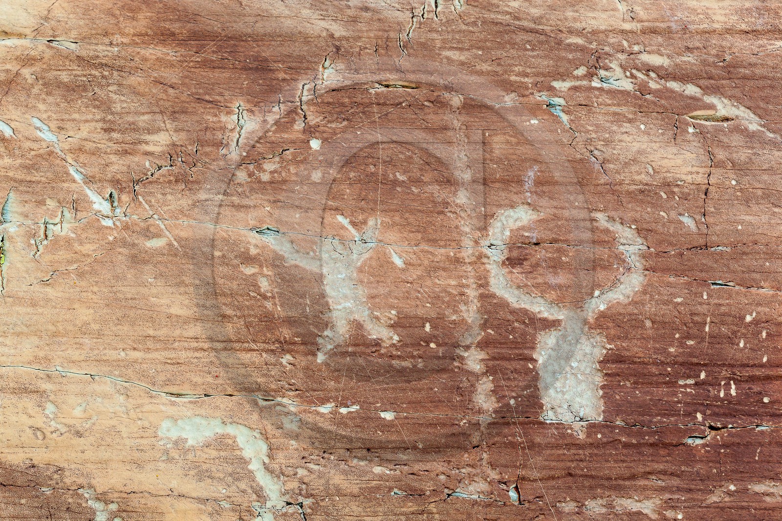 Vallée des Merveilles, gravures rupestres