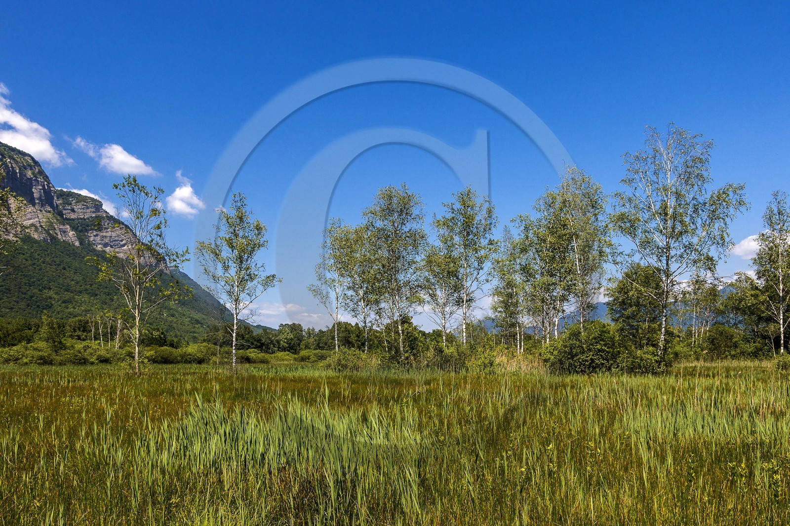 ENS de l'Isère, Marais de Montfort