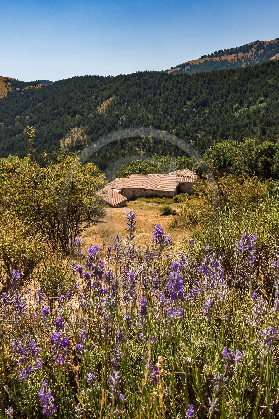 Les Monges, ferrme de Feissal