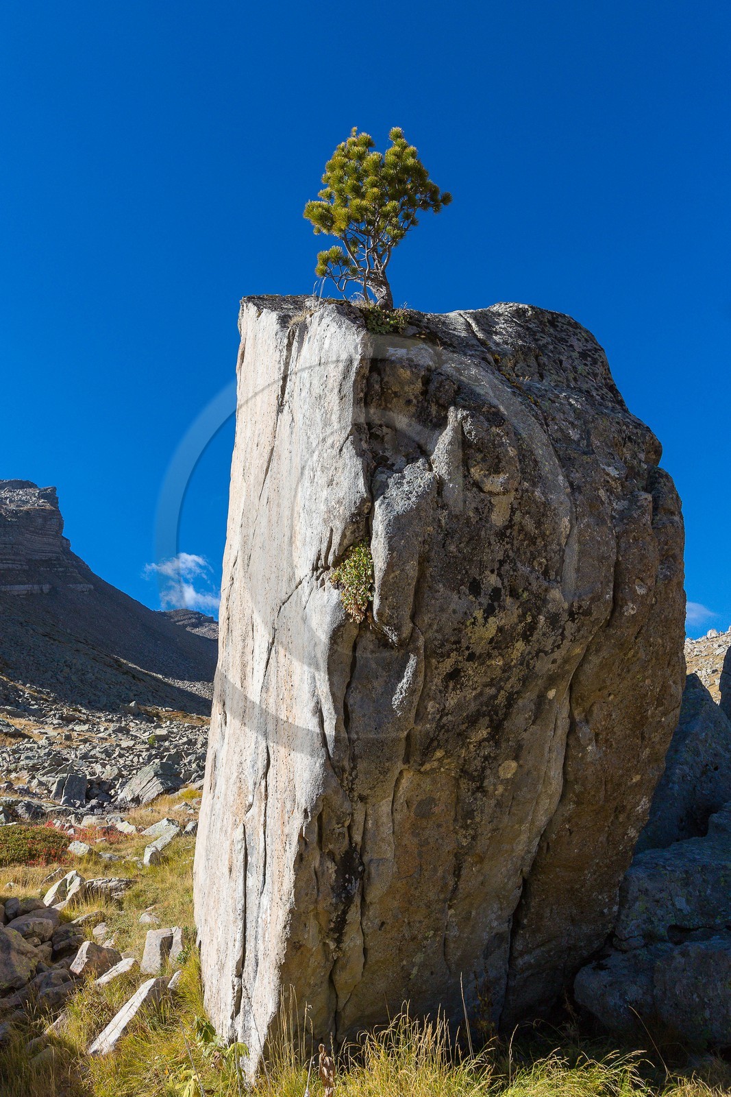 Ubaye, Vallon du Laverq