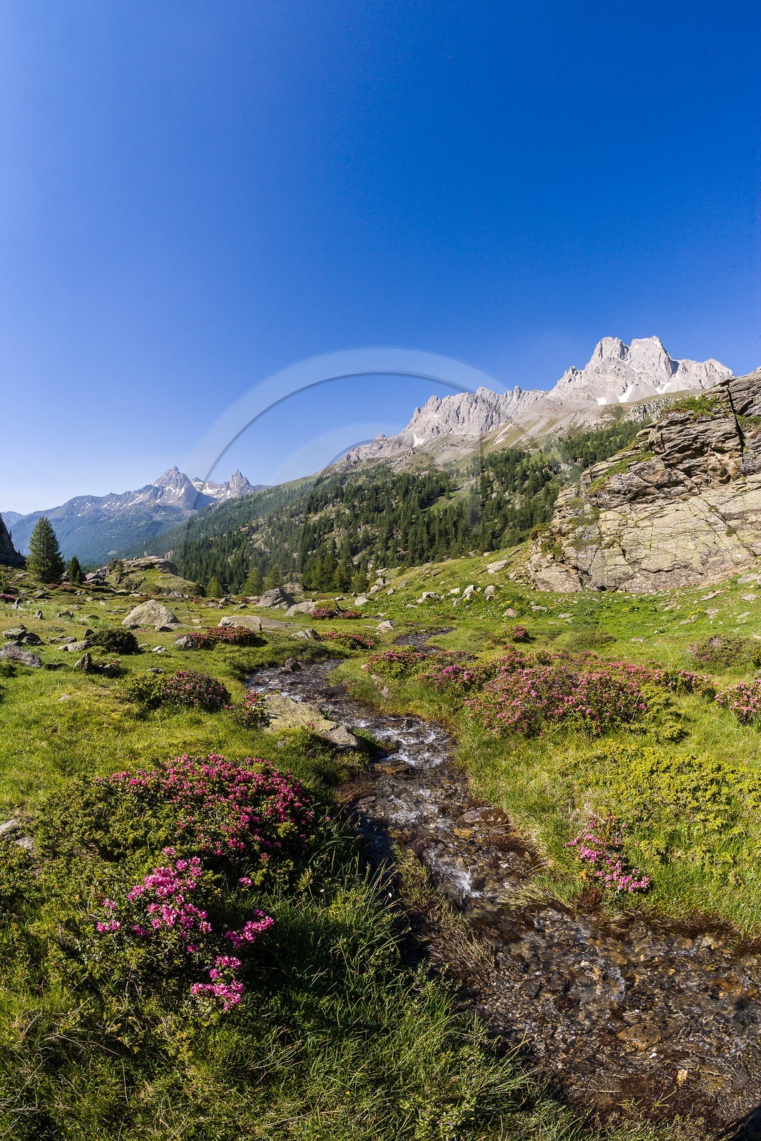 Vallée de la Clarée