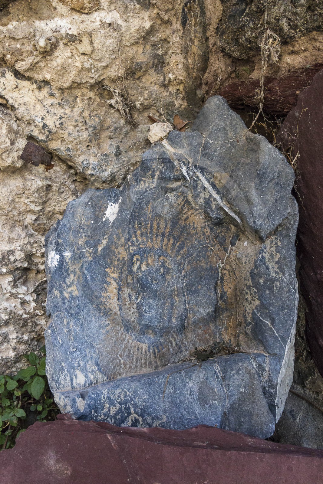 Vallée de la Tinée, Roubion