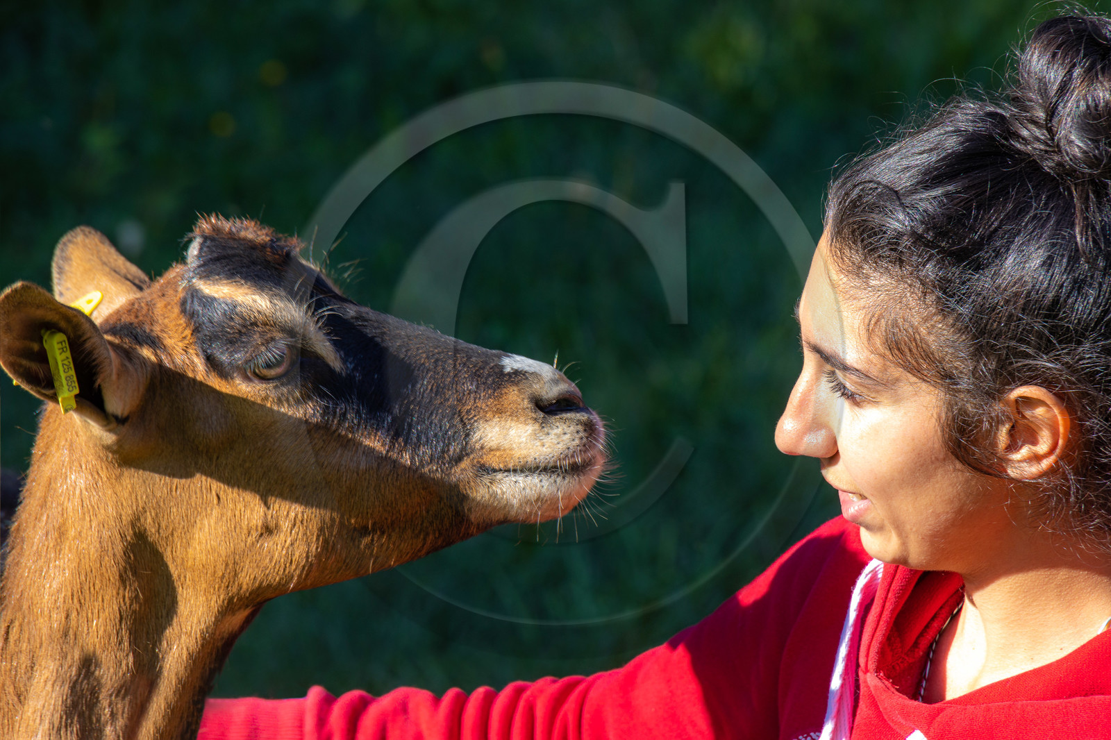 Gaec La Ferme des Ecrins