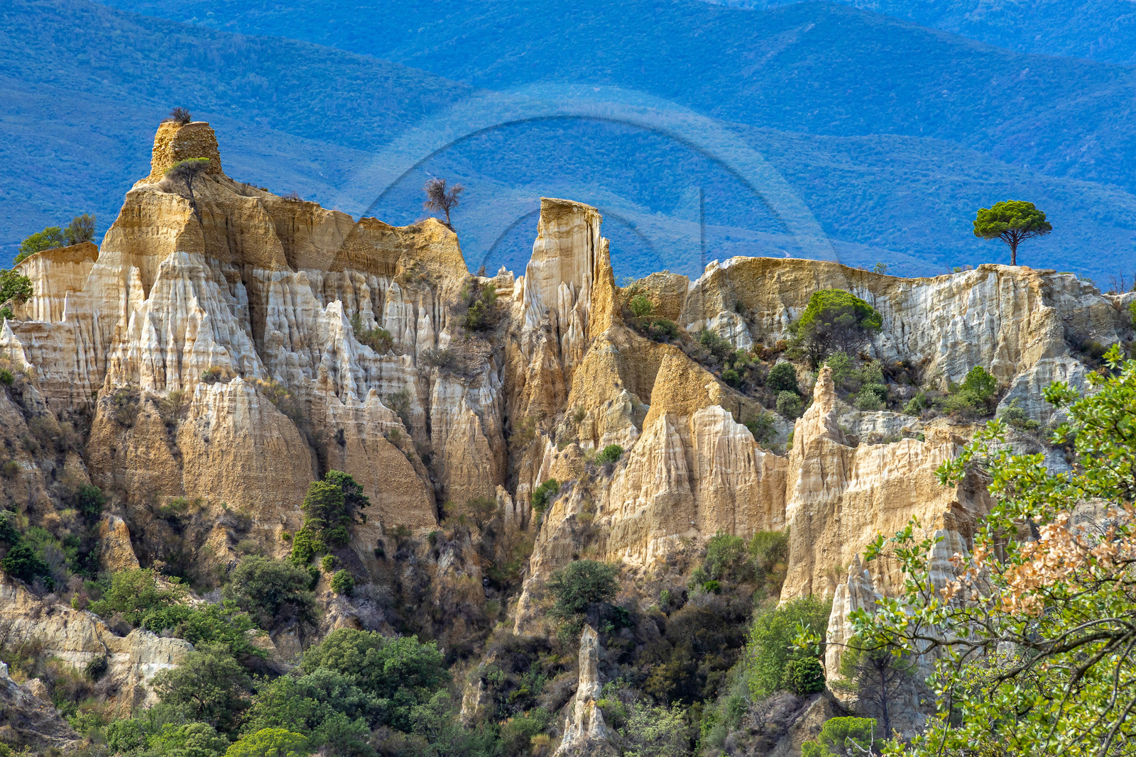 Orgues d'Ille-sur-Têt