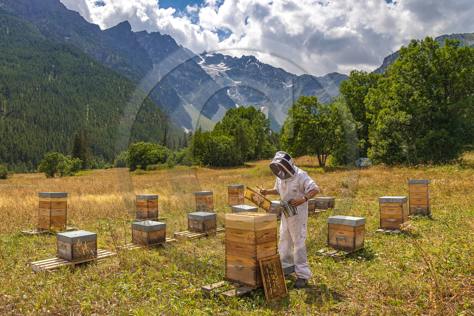 Miellerie de Serre Chevalier