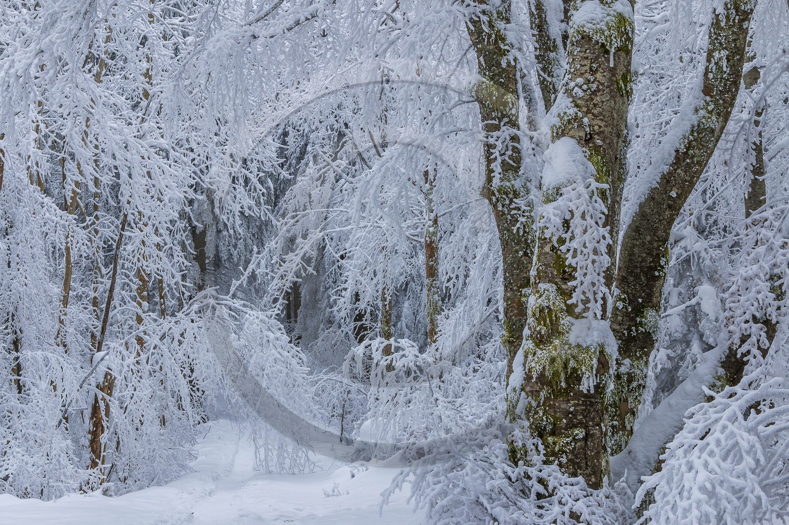 ENS de l'Isère, Les Ecouges