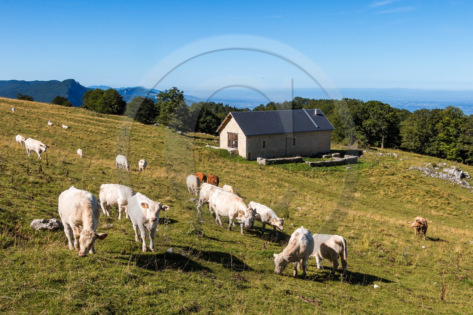 ENS de l'Isère, Les Ecouges, Fessole