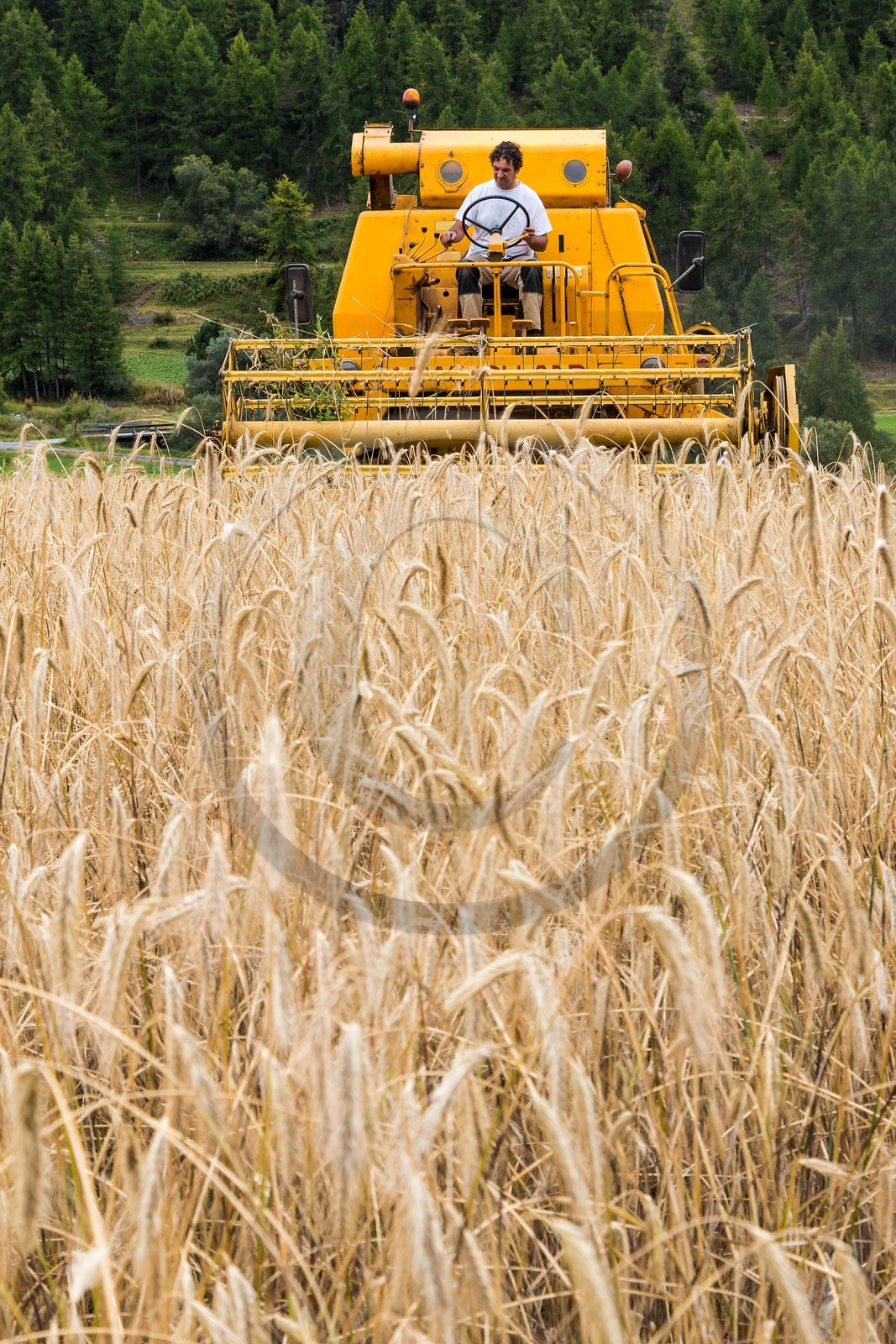 Ceillac, Christophe Gauthier, Exploitant agricole