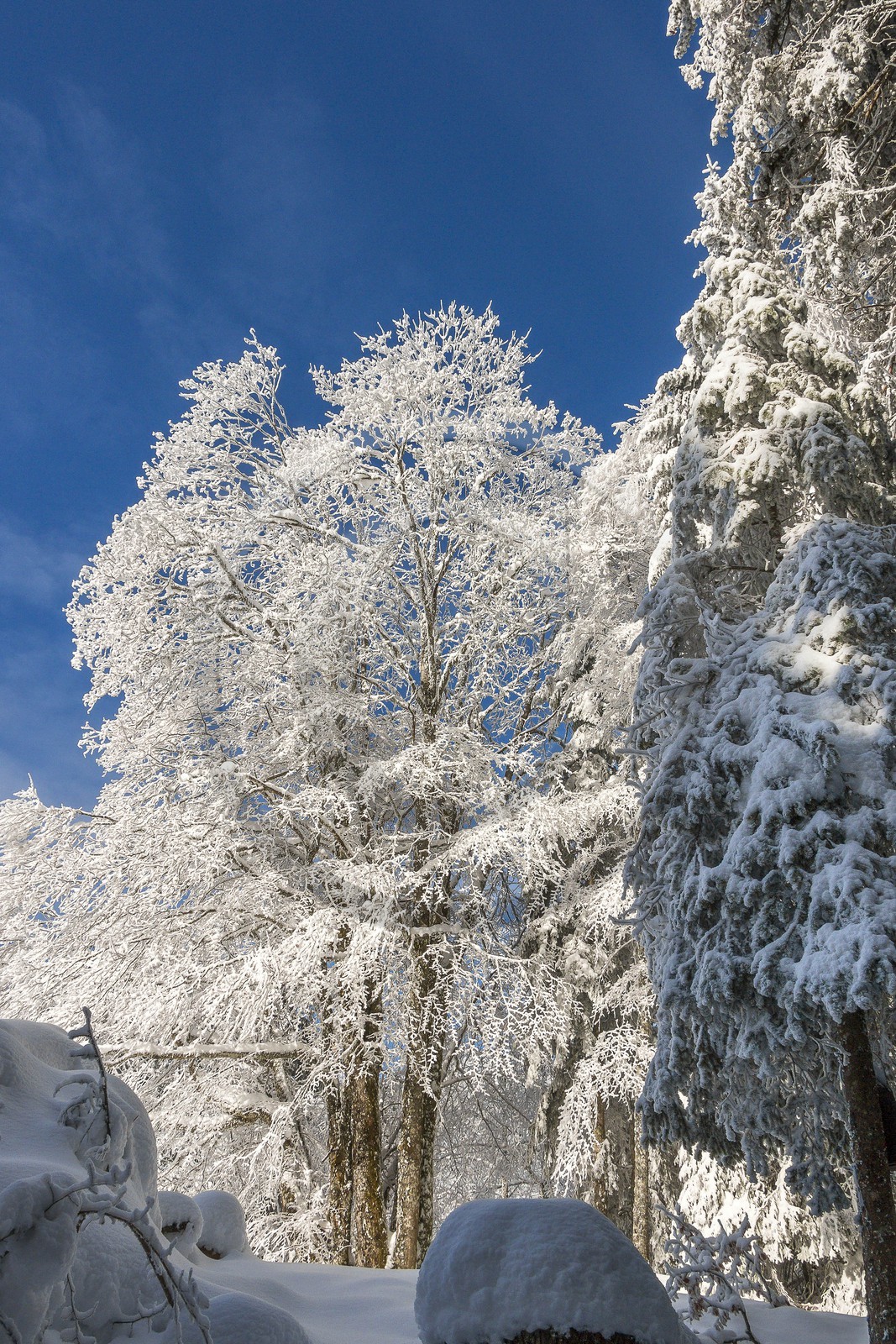 ENS de l'Isère, Les Ecouges