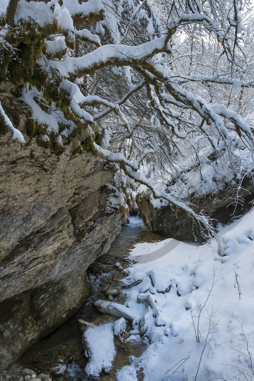 ENS de l'Isère, Les Ecouges, rivière la Drevenne