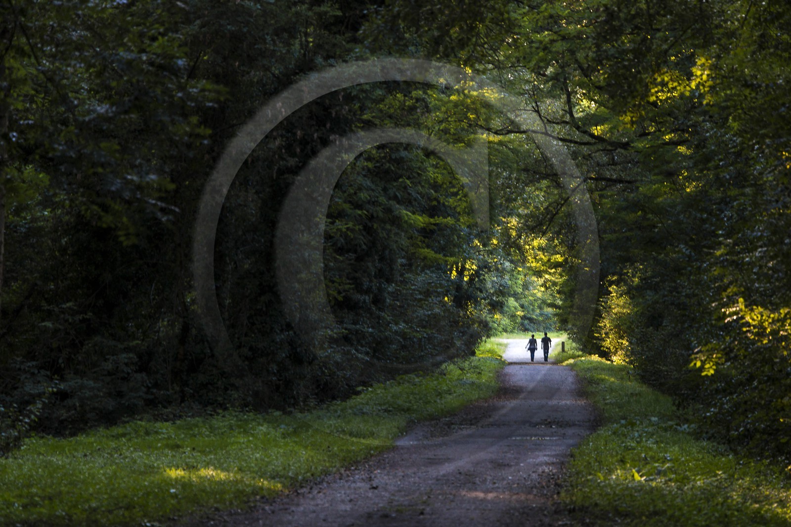 ENS de l'Isère, Boucle de la Taillat