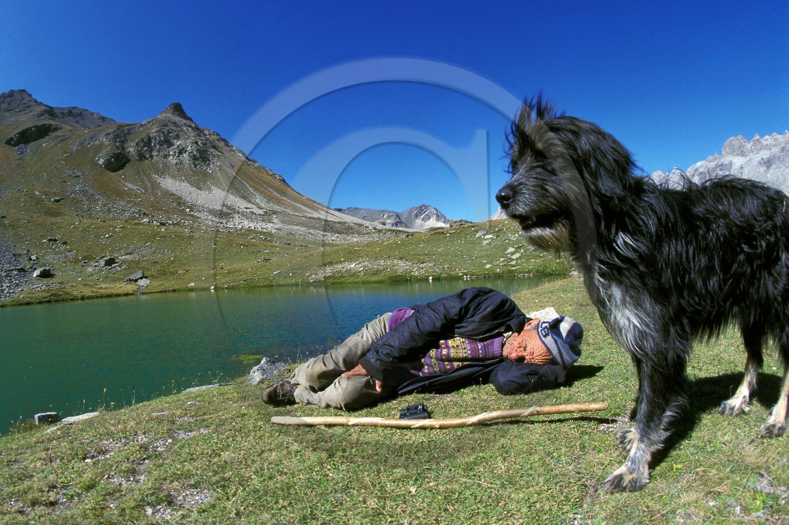 Bergers de la Vallée de la Clarée