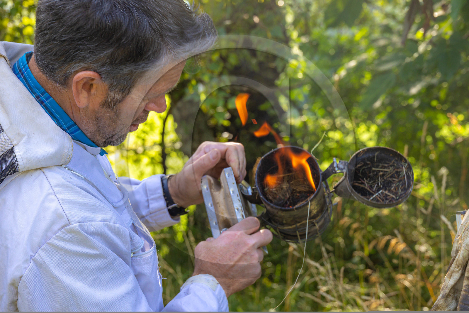 Jean-Jacques Daubert - Apiculteur