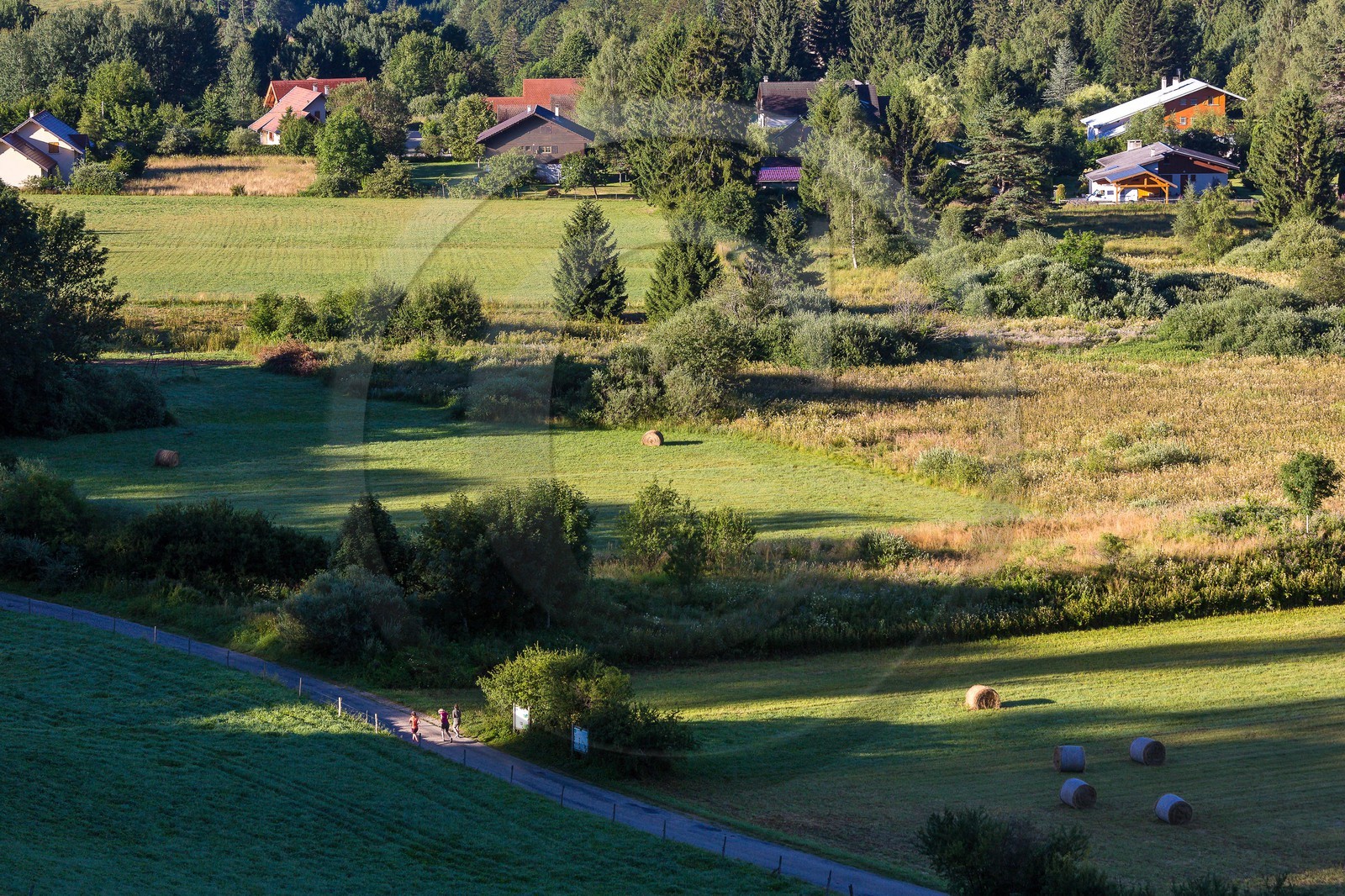 ENS de l'Isère, Marais des Sagnes